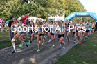 Senior womens 4 stage road relay, 2019 ERRA 6 and 4 Stage Relay and Young Athletes.  Photo: David T. Hewitson/Sports for All Pics